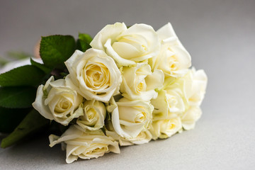 Beautiful white roses on a light background