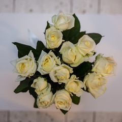 Beautiful white roses on a light background