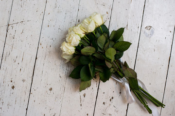 Beautiful white roses on a light background