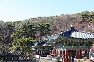 Fototapeta premium 강화보문사입니다