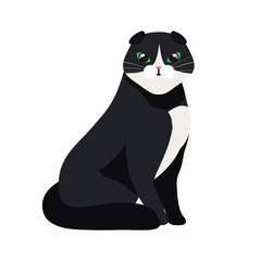 cute cat black and white isolated icon vector illustration design