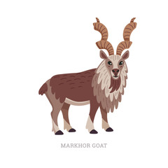 Rare animals collection. Markhor goat, Capra falconeri. National Pakistani animal, screw-horned goat. Flat style vector illustration isolated on white background.