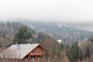 cloudy woods