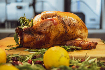Roasted Thanksgiving holiday turkey