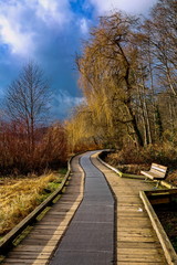 Fototapeta premium Wooden hiking trail in the Deer Lake park in early spring, bare trees and stormy sky