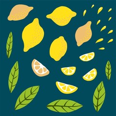 Cute doodle lemon. Fresh citrus fruits with drops and leaves