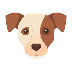 face of white dog with brown spot vector illustration design
