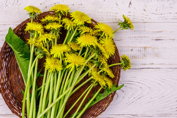 Yellow dandelion flowers in wicker basket on white wooden background. Top view