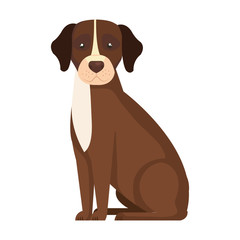 brown dog with white spot isolated icon vector illustration design