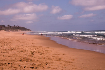 Extensive Stretch of Beach Sand with Sunbathers