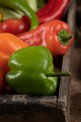 Colorful fresh bell peppers in a tray.
