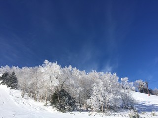 青空の雪景色