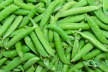 Fresh pea pods as background. Top view.