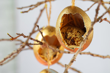 Colored Easter eggs hanging on dry branches. Easter concept