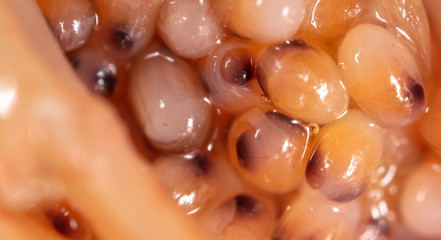 Red caviar in a shrimp as a background