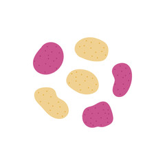 Set, collection of vector cartoon style potato vegetables.