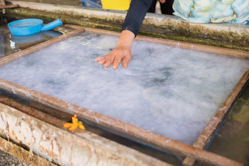 Making mulberry paper, decorating with leaves and flower. Urban career in Thailand