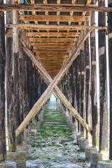 Timber piles of wooden bridge close-up during ocean low tide. Coast of island Zanzibar, Tanzania, Africa. Close up, view under the bridge