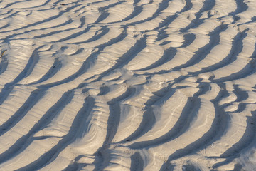 Texture of sea sand at low tide on a tropical beach