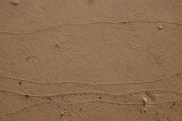 Patterns Texture of sand on the beach, Phuket Thailand