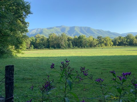 Cades Cove