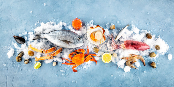 Fish and seafood panorama, a flat lay. Sea bream, scallop, crab, squid, clams, shot from the top on ice