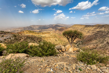 Fototapeta na wymiar Beautiful highland landscape with valley. Afar region near city Mekelle. Ethiopia, Africa wilderness