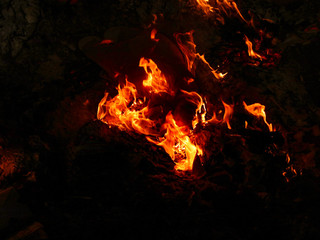 fire_0531