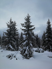 Zimowa sceneria Niżne Tatry na Słowacji okolice Pohorela