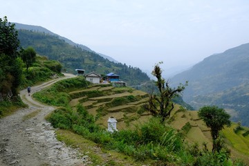 Fototapeta na wymiar Mountain view with terraced fields and village with traditonal houses in Himalayas, around Ghandruk/Ghandrung, Nepal. During trekking around Annapurna. 