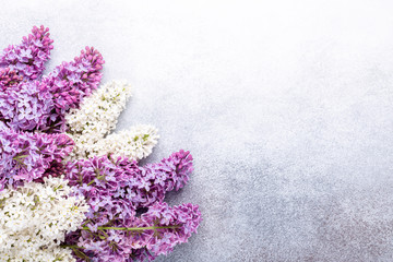 Fototapeta premium Spring mood. Brunches of beautiful purple and white lilacs on stone background. Mockup