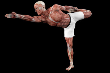 Muscular man (anatomical vision) in a yoga position to maintain balance. 3D illustration.