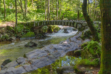 around Vologne river