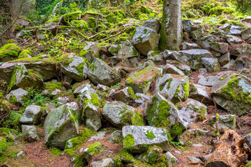 around Lac de Gerardmer in France