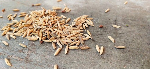 spices on wooden background