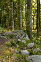 around Vologne river