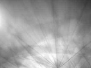 Black and white background, stripes, light and shadow on the ceiling.