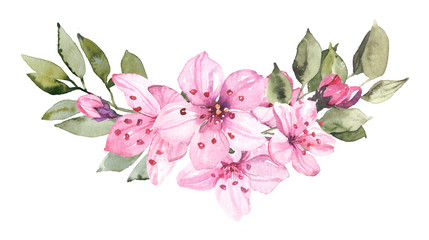 Fototapeta premium Watercolor hand painted sakura cherry blossom flowers with leaves branches illustration isolated on white background
