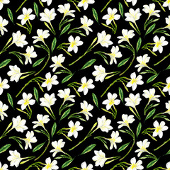 Seamless pattern of watercolor frangipani flowers . Black background.