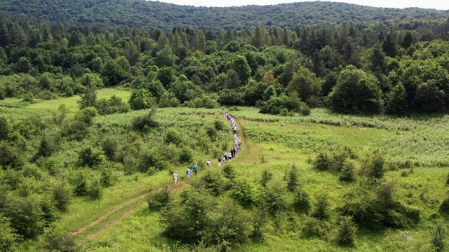 Aerial side view of white dressed people walking in single file on a small path into the forest. 