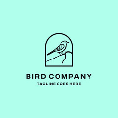 Bird logo design icon. Bird outline logo design with color background.