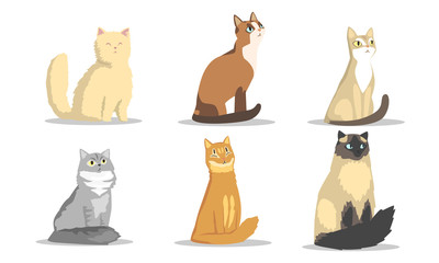 Collection of Different Cats Breeds, Lovely Pussycats Animals of Various Colors Vector Illustration on White Background