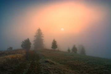 Obraz premium Spring foggy image