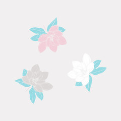 Vector illustration with 3 hand drawn white Anise magnolia colored pink and grey flowers with blue leaves. Flower isolated on white backgrounds. Decorative element for floral wedding invitation card