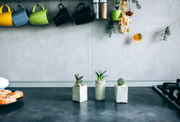 Tiny succulents in concrete plant holders in kitchen. Small cactus and moss in handmade vases of different shapes. Stylish and eco friendly planters.
