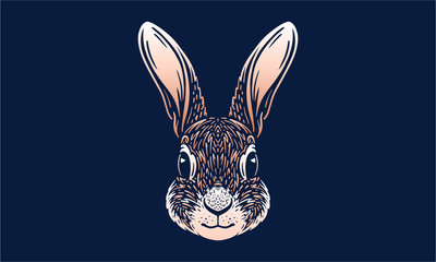 rabbit on dark background