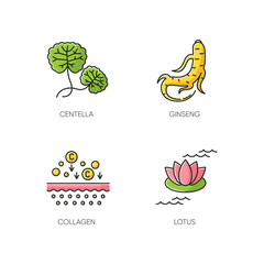 Cosmetic ingredient RGB color icons set. Centella plant. Ginseng root. Collagen formula. Lotus flower. Skincare treatment. Nourishing and healing effect. Korean beauty. Isolated vector illustrations