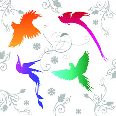 Fototapeta premium Vector background with different colored birds of paradise and ornament. For design