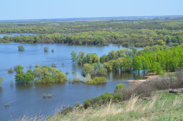 landscape flood   of the river in the spring water overflowing