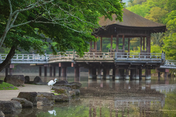 Fototapeta premium 浮見堂と小鷺